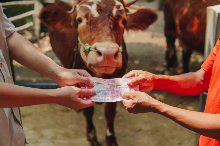 Hasil Ternak dan Kebun Sumber Agunan yang Berharga Dalam Pengajuan Pinjaman di Bank