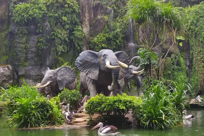 Keanekaragaman Satwa