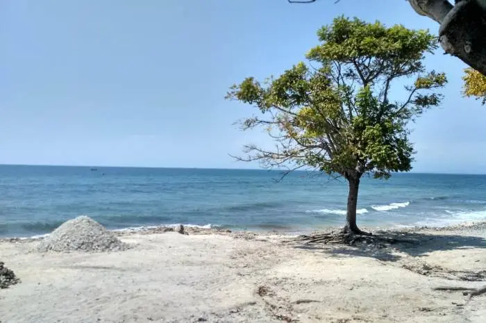 Lokasi dan Akses Menuju Gili Ketapang